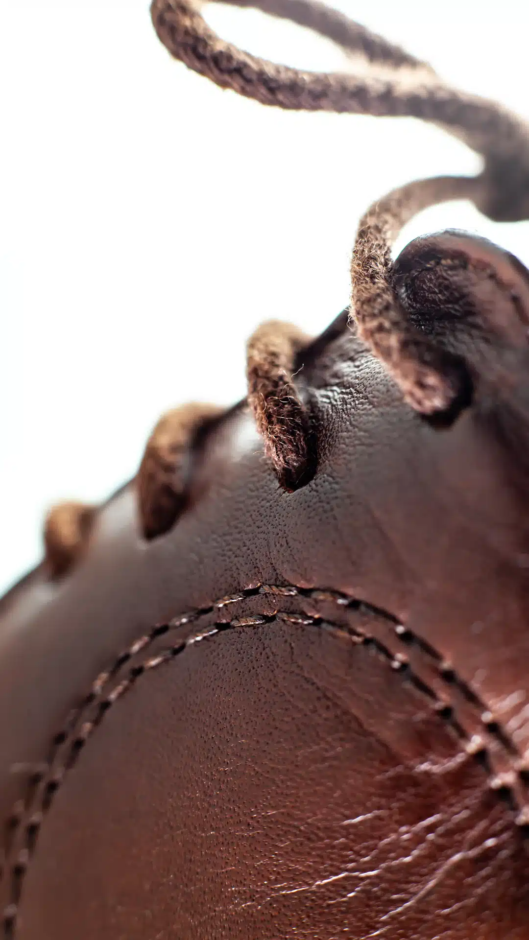 a close up of a tree branch
